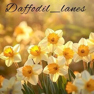 LIVE SHOW NOTIFICATION